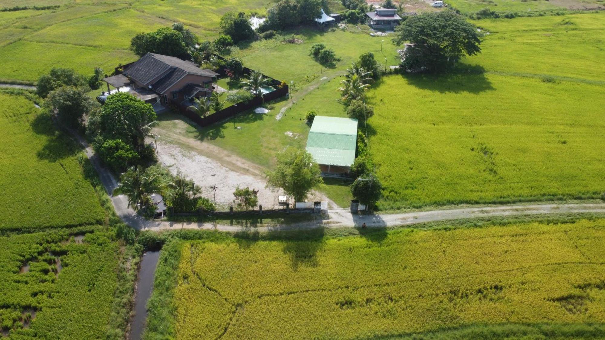 Villa Tempoyak Homestay パンタイ・サナング エクステリア 写真