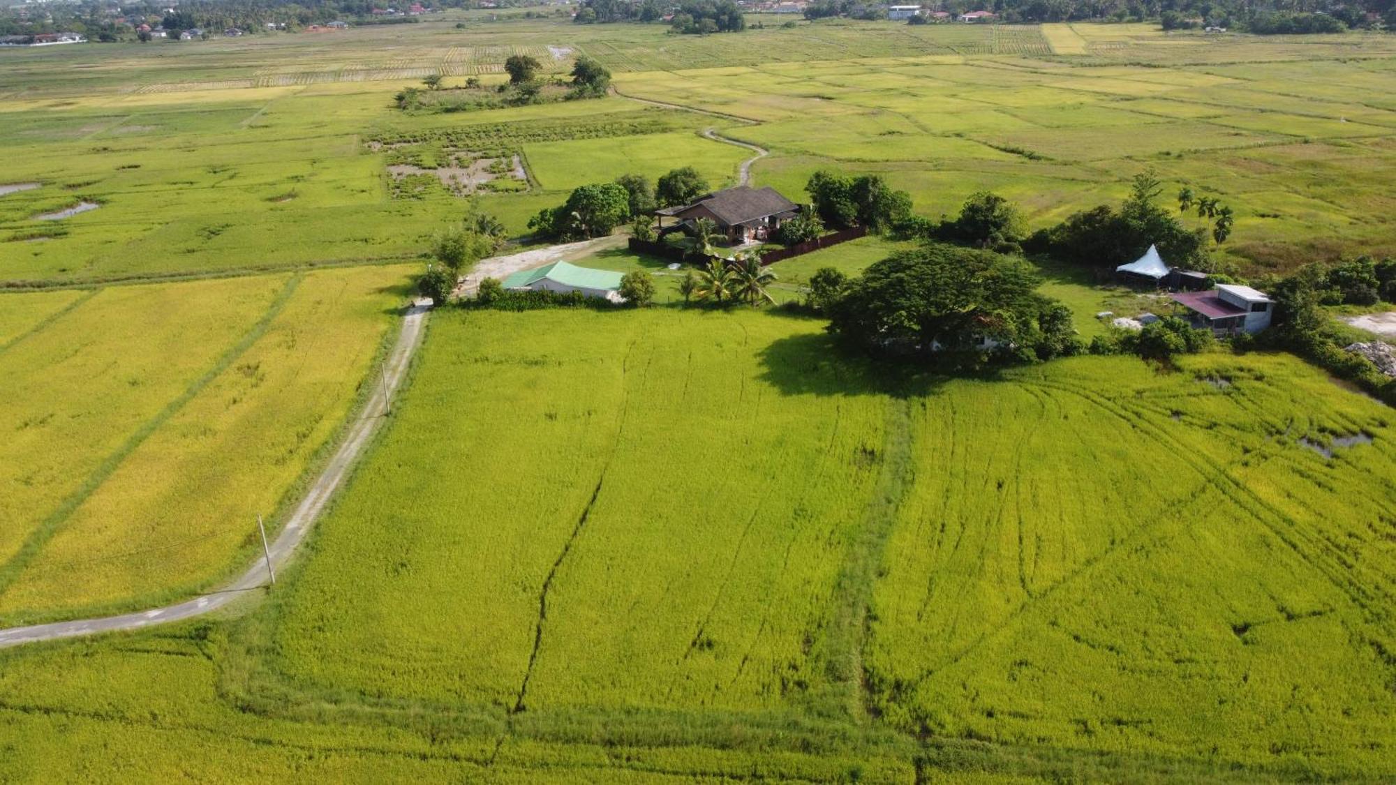 Villa Tempoyak Homestay パンタイ・サナング エクステリア 写真