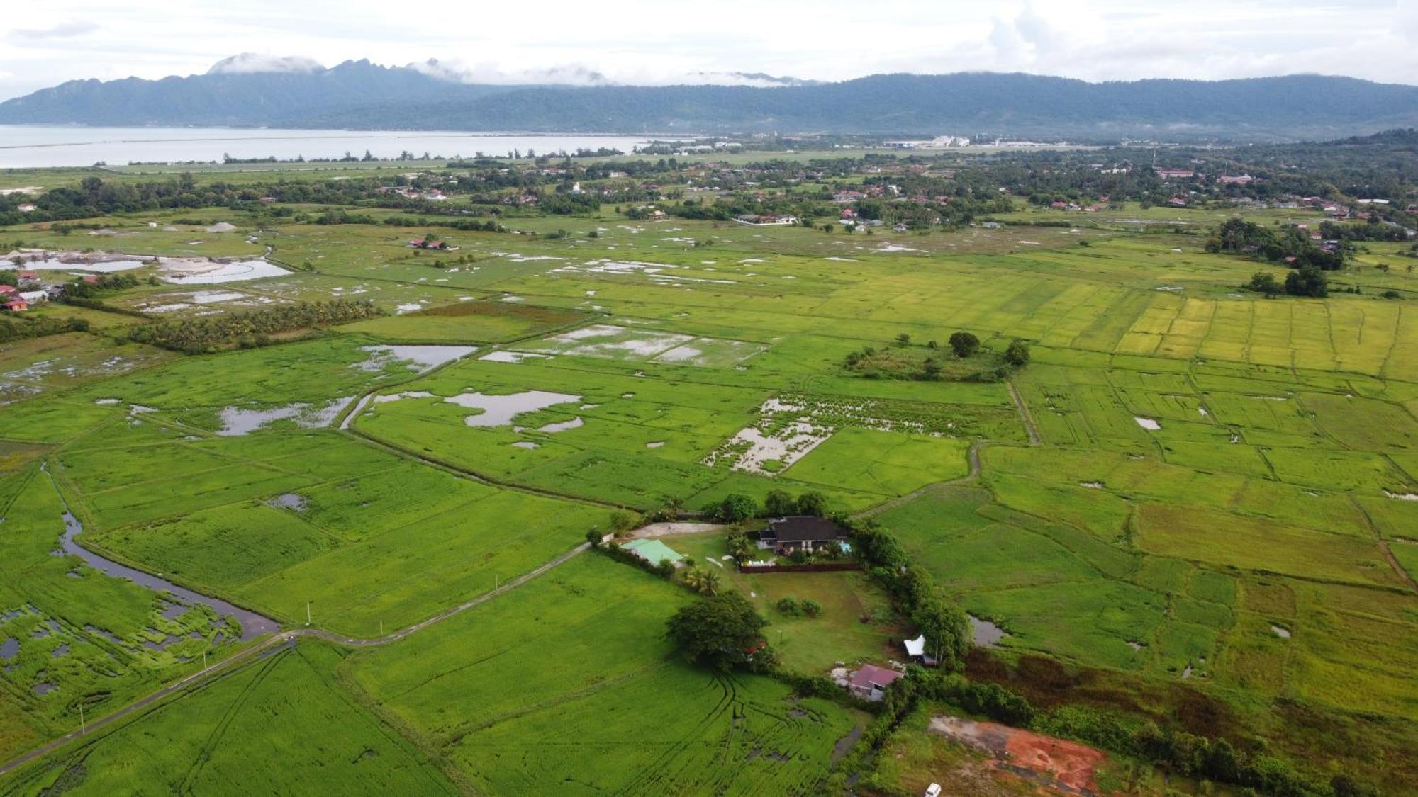 Villa Tempoyak Homestay パンタイ・サナング エクステリア 写真