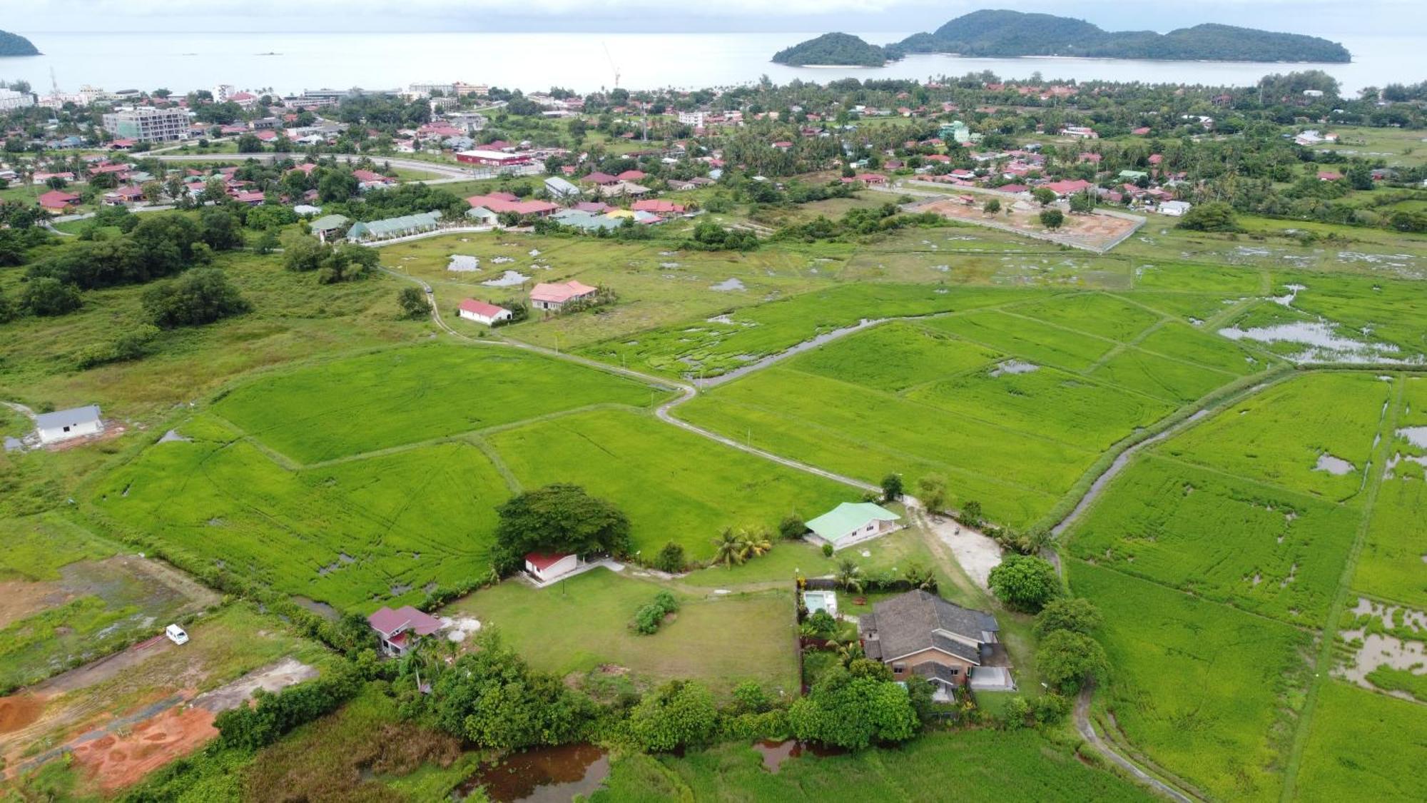 Villa Tempoyak Homestay パンタイ・サナング エクステリア 写真