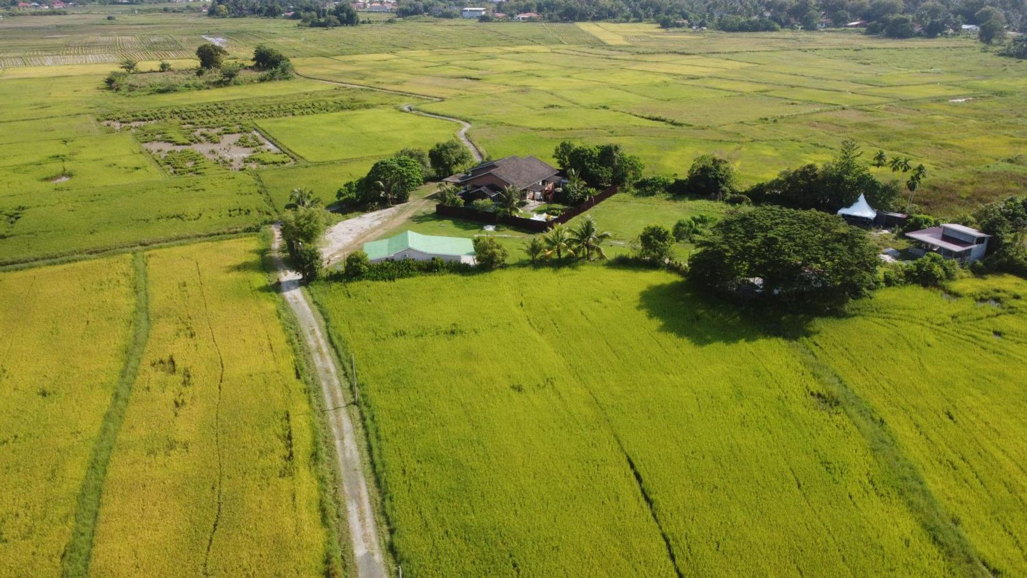 Villa Tempoyak Homestay パンタイ・サナング エクステリア 写真