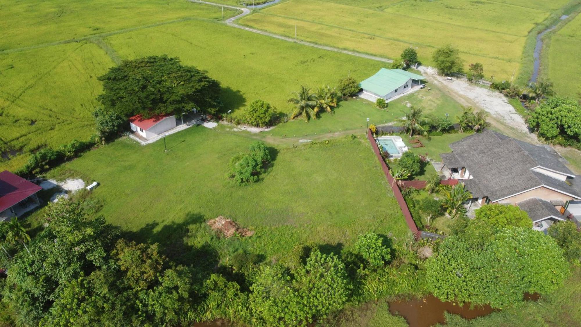 Villa Tempoyak Homestay パンタイ・サナング エクステリア 写真
