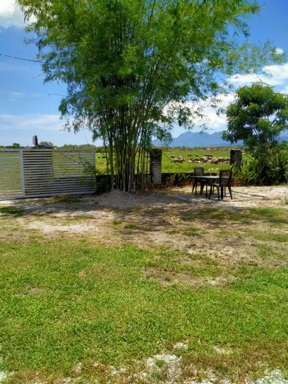 Villa Tempoyak Homestay パンタイ・サナング エクステリア 写真