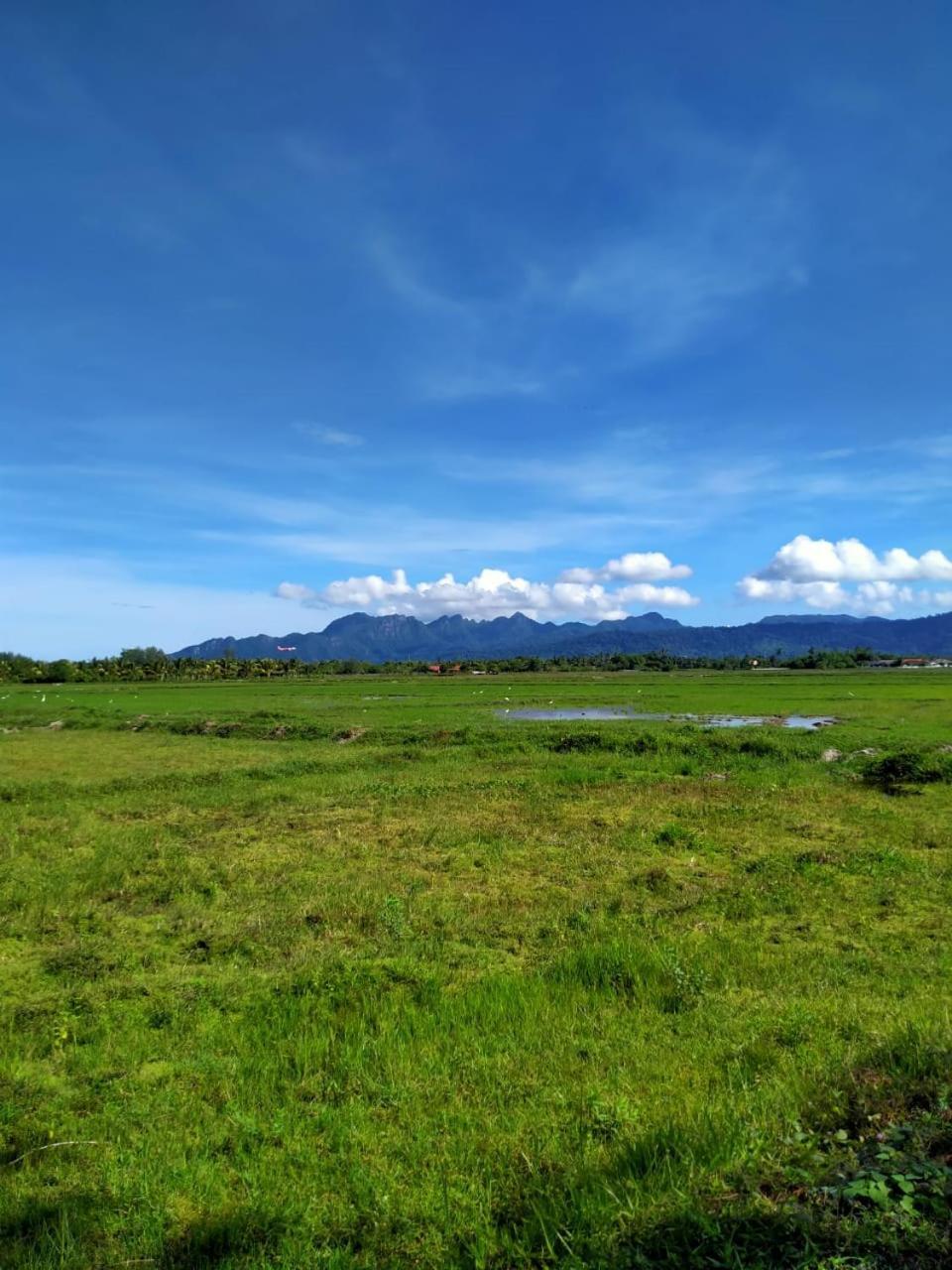 Villa Tempoyak Homestay パンタイ・サナング エクステリア 写真