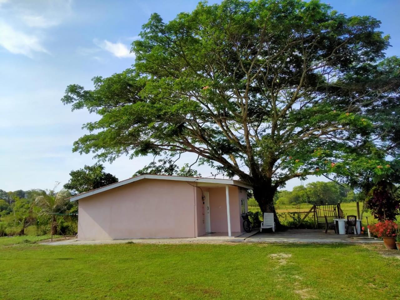 Villa Tempoyak Homestay パンタイ・サナング エクステリア 写真