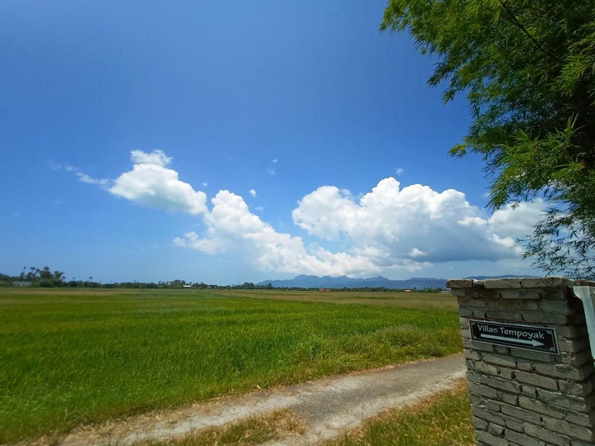 Villa Tempoyak Homestay パンタイ・サナング エクステリア 写真