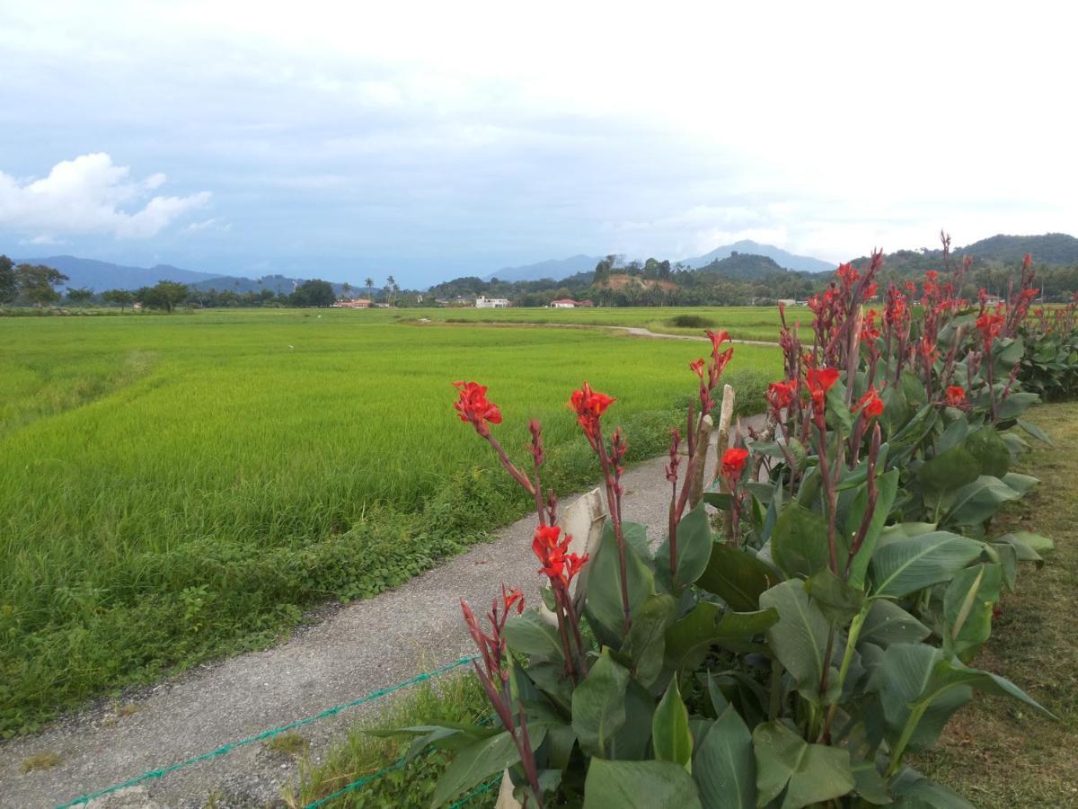 Villa Tempoyak Homestay パンタイ・サナング エクステリア 写真